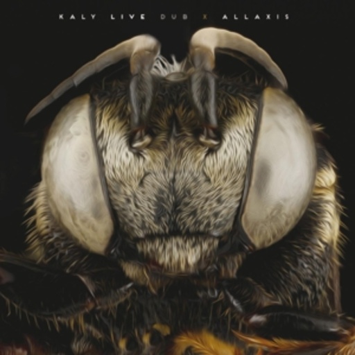Kaly Live Dub – Allaxis