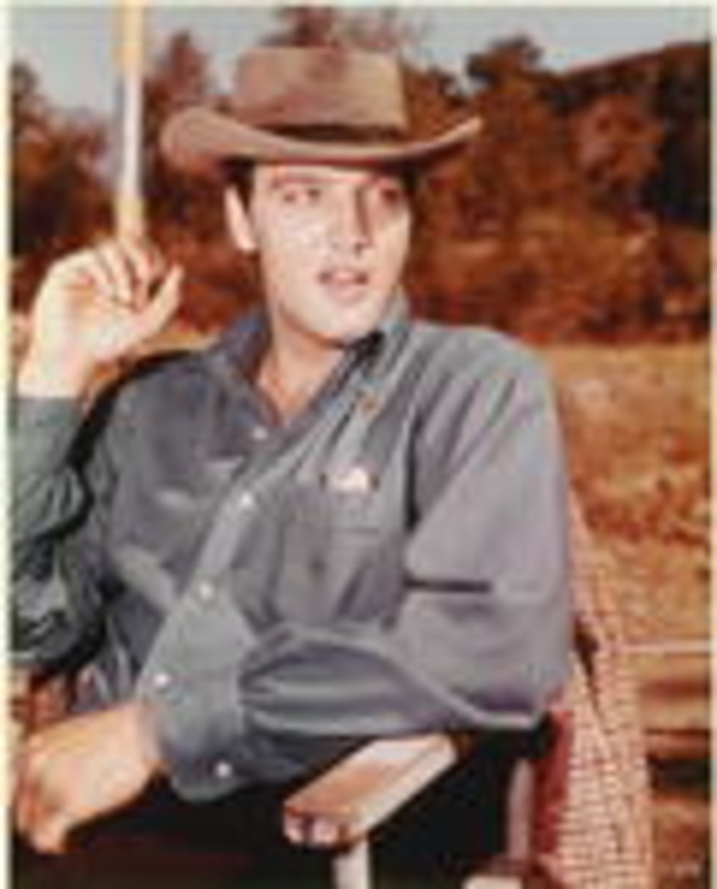 ebdb87aed898d68ff28d105905d91803affa0df646d35aff4cf7602ca8178de6 Schon vergoldet: Elvis und seine Nummer-Eins-Hits