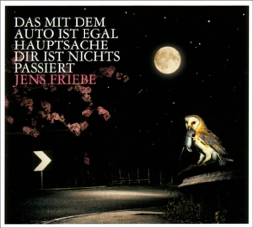 Jens Friebe – Das mit dem Auto ist egal, Hauptsache dir ist nichts passiert