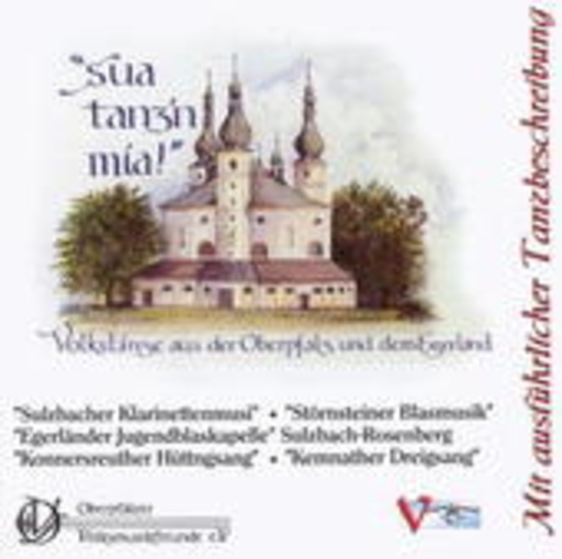 Diverse – Sou tanz'n mia! Vol. 2