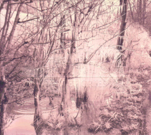 Esben And The Witch – Violet Cries