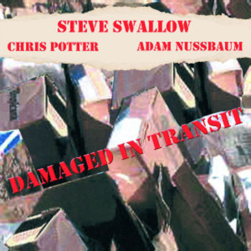 Steve Swallow/Chris Potter – Damaged In Transit