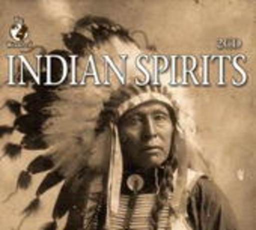 Diverse – The World Of Indian Spirits
