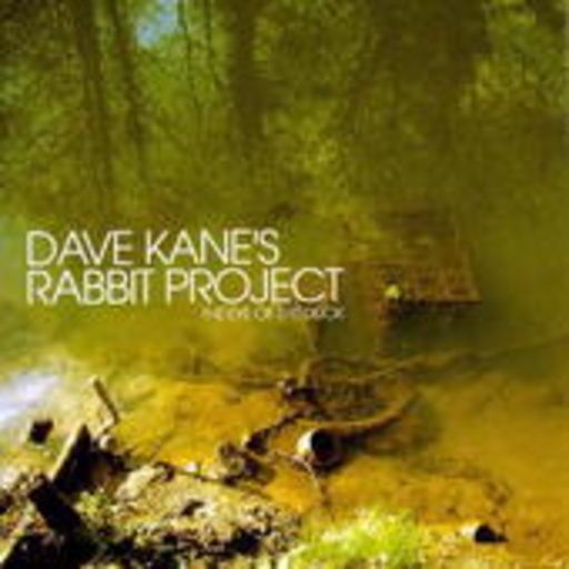 Dave Kane's Rabbit Project – The Eye Of The Duck