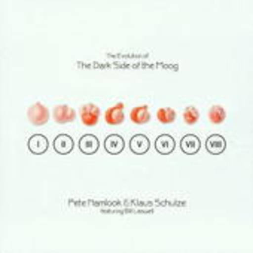 Pete Namlook & Klaus Schulze – The Evolution Of The Dark Side