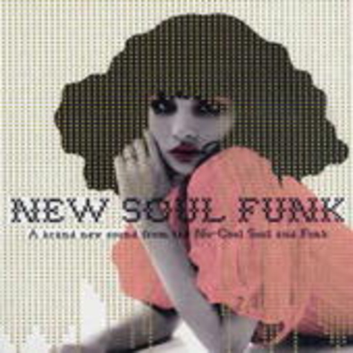 Diverse – New Soul Funk