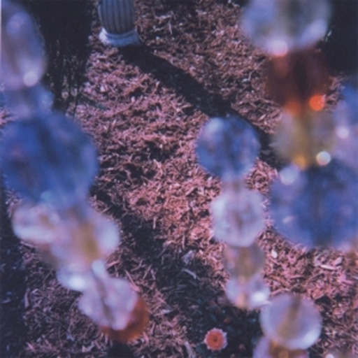 Imaginary Softwoods – The Path Of Spectrolite