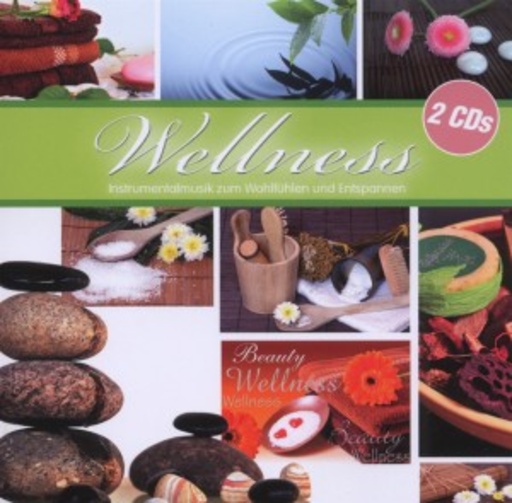 Diverse – Wellness - Instrumentalmusik zum Wohlfühlen und Entspannen/Beauty Wellness