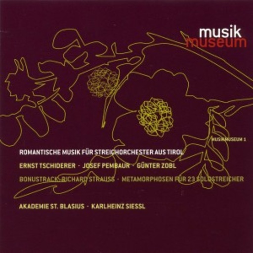 Orchester der Akademie St. Blasius – Romantische Musik für Streichorchester aus Tirol