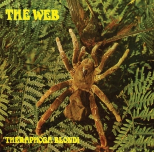 The Web – Theraphosa Blondi