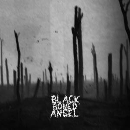 Black Boned Angel – Verdun