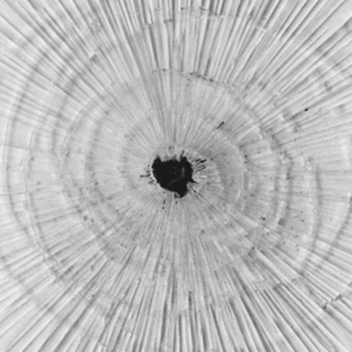 Emptyset – Demiurge