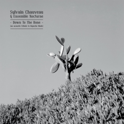 Sylvain Chauveau & Ensemble Nocturne – Down To The Bone - Tribute To Depeche Mode