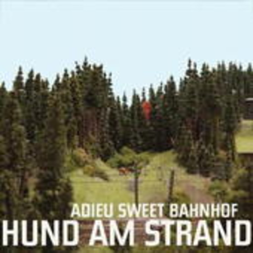 Hund am Strand – Adieu Sweet Bahnhof