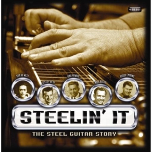 Diverse – Steelin' It