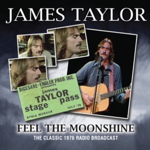 James Taylor – Feel The Moonshine