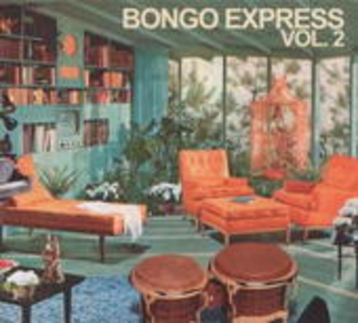 Diverse – Bongo Sketches Express Vol. 2