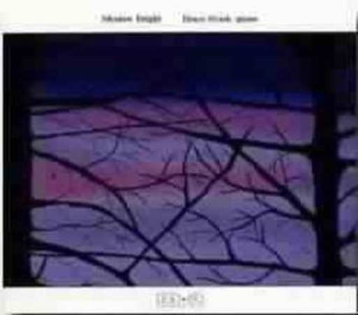 Bruce Stark – Shadow Bright