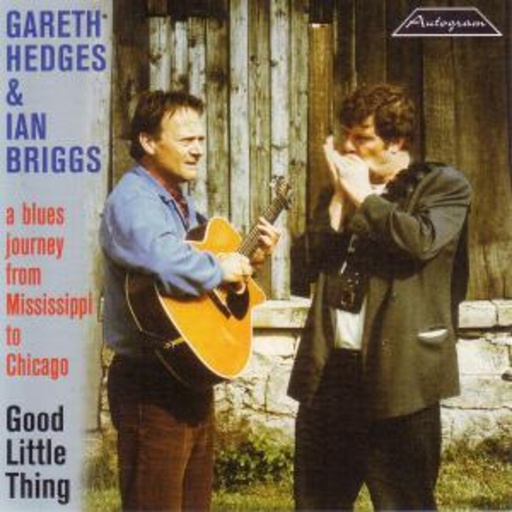Gareth Hedges/Ian Briggs – Good Little Thing