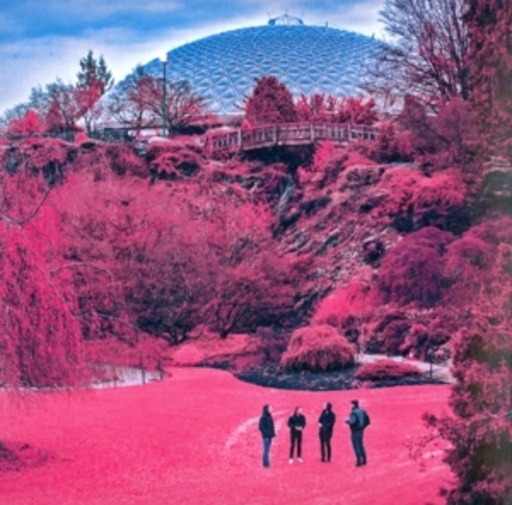 The Zolas – Swooner