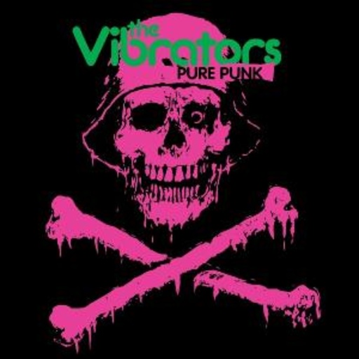 Vibrators – Pure Punk