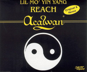 Lil Mo' Yin Yang – Reach