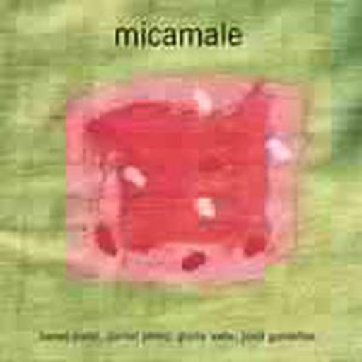 Micalme – Micamale