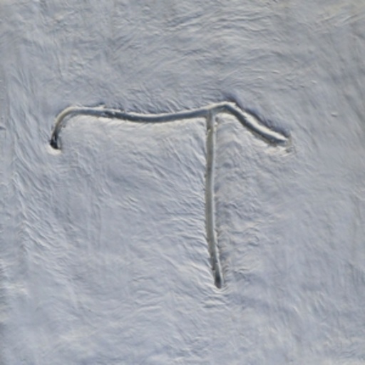 Xylouris White – Goats