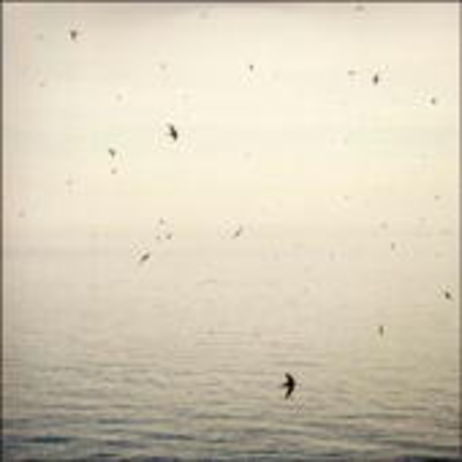 On – Your Naked Ghost Comes Back At Night