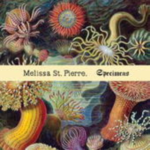 Melissa St. Pierre – Specimens
