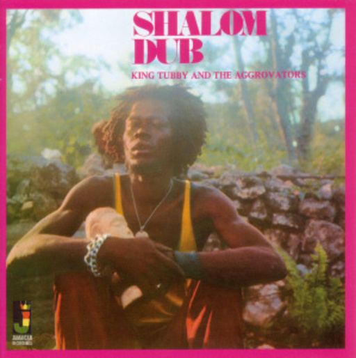 King Tubby And The Aggrovators – Shalom Dub