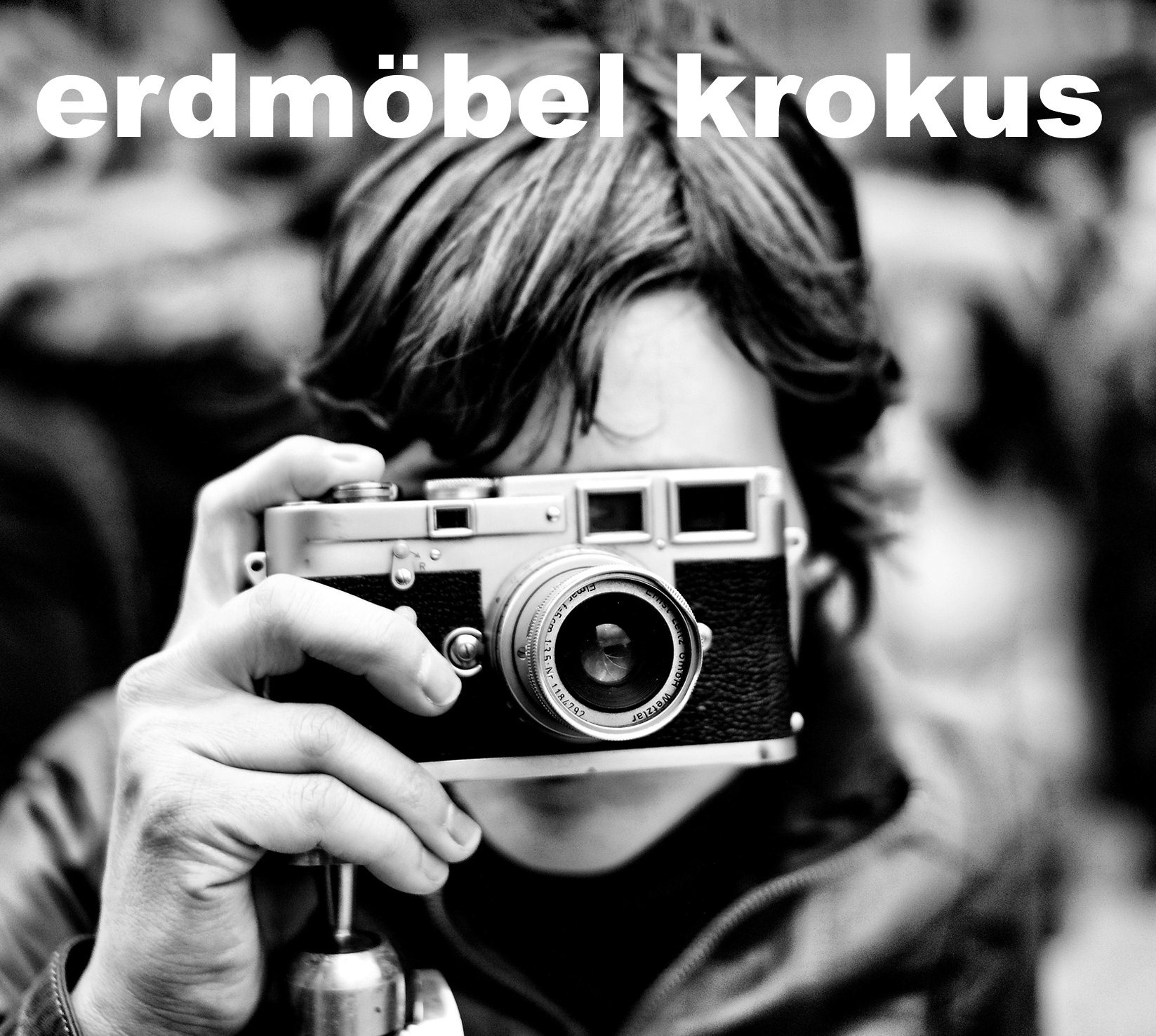Erdmöbel – Krokus