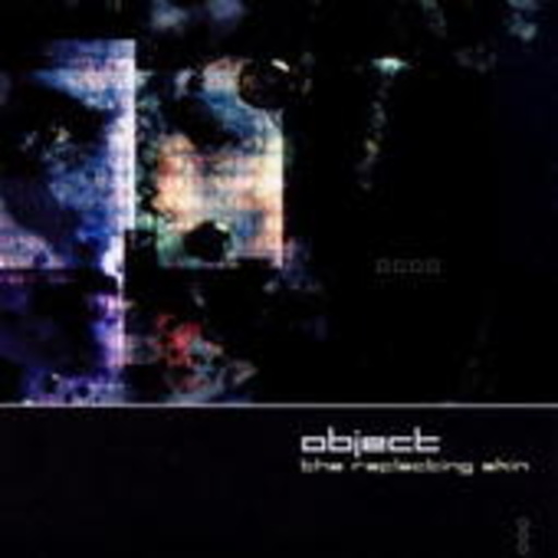Object – The Reflecting Skin