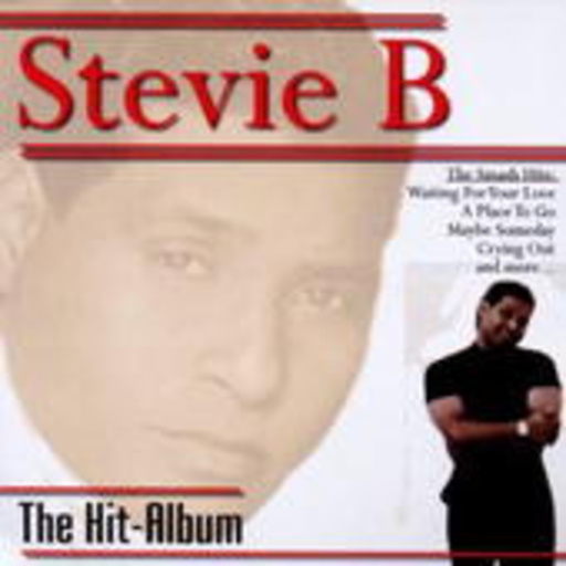 The Hit-Album