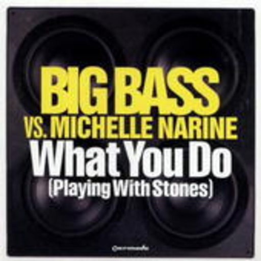 Bigg Bass vs. Michelle Narine – What You Do