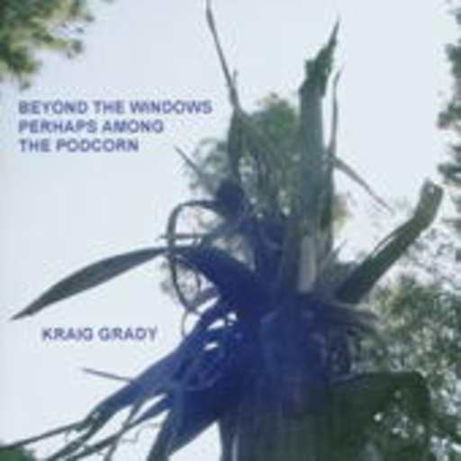 Kraig Grady – Beyond The Windows
