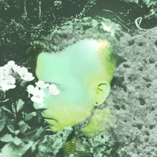 Sombear – Love You In The Dark