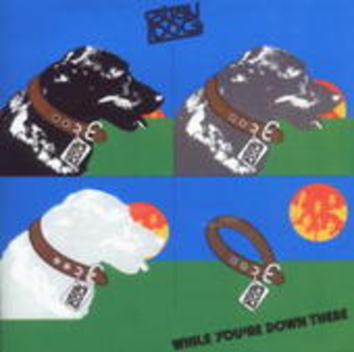 Stray Dog – While You're Down There