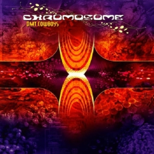 Chromosome – DMT Cowboys