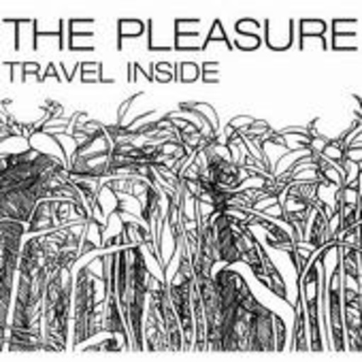 The Pleasure – Travel Inside