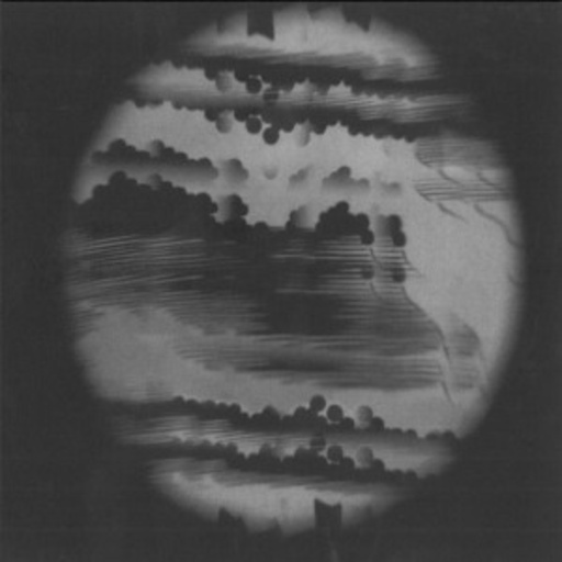 Disco Doom – Trux Reverb