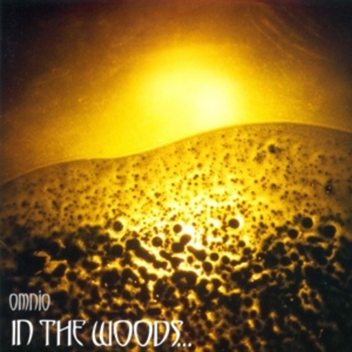 In The Woods – Omnio