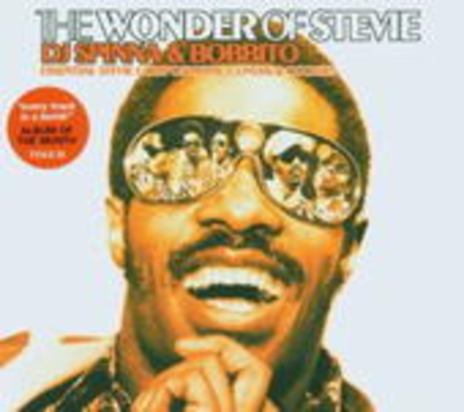 Diverse – The Wonder Of Stevie - Compiled by DJ Spinna & Bobbito