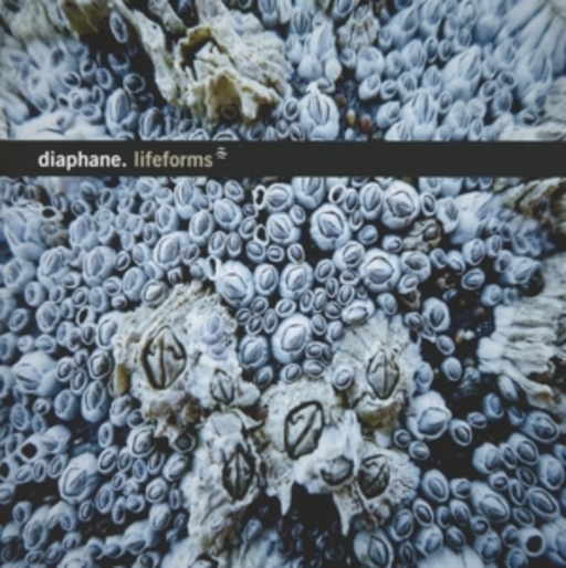 Diaphane – Lifeforms