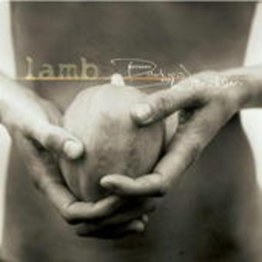 Lamb – Between Darkness And Wonder