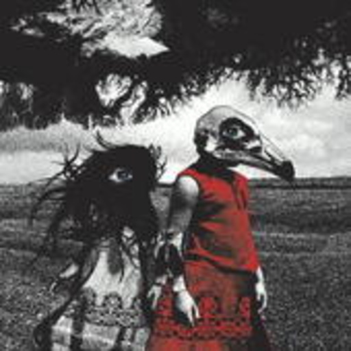 The Standard – The Albatross