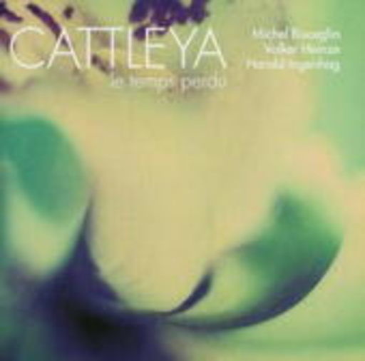 Cattleya – Le Temps Perdu
