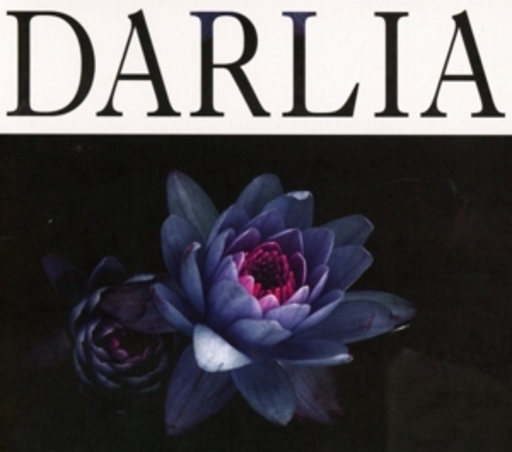 Darlia – Petals