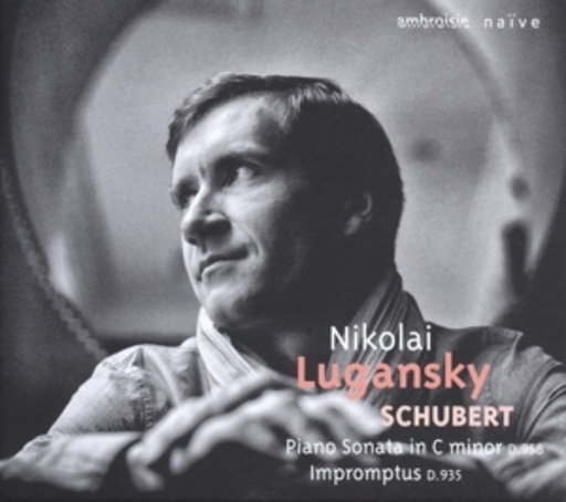 Klaviersonate D.958/Impromptus D.935