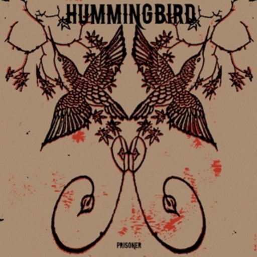 Hummingbird – Prisoner